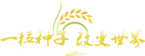 一粒种子改变世界